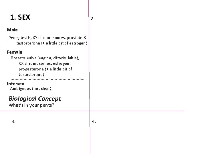 1. SEX 2. Male Penis, testis, XY chromosomes, prostate & testosterone (+ a little