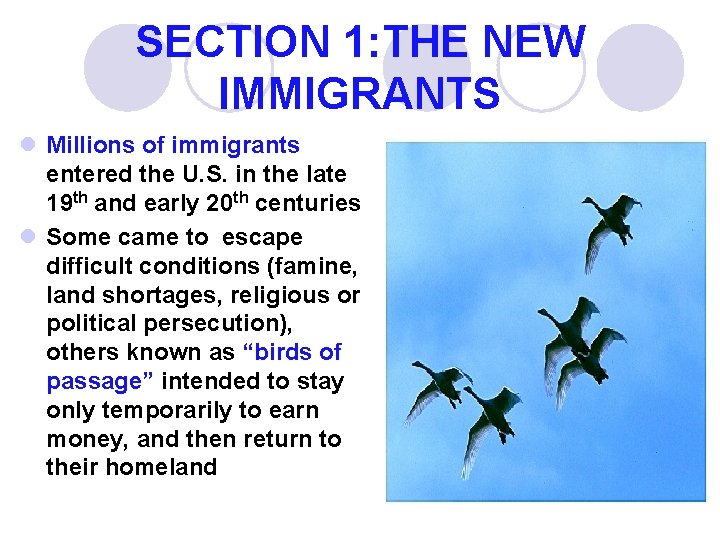 SECTION 1: THE NEW IMMIGRANTS l Millions of immigrants entered the U. S. in