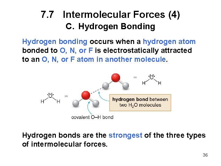 7. 7 Intermolecular Forces (4) C. Hydrogen Bonding Hydrogen bonding occurs when a hydrogen