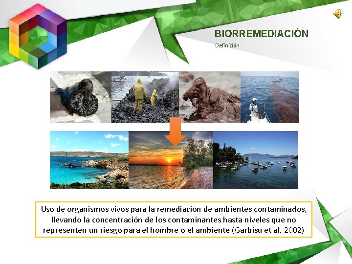 BIORREMEDIACIÓN Definición Uso de organismos vivos para la remediación de ambientes contaminados, llevando la BIORREMEDIACIÓN Definición Uso de organismos vivos para la remediación de ambientes contaminados, llevando la