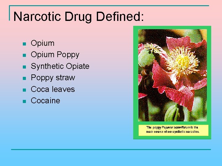Narcotic Drug Defined: n n n Opium Poppy Synthetic Opiate Poppy straw Coca leaves