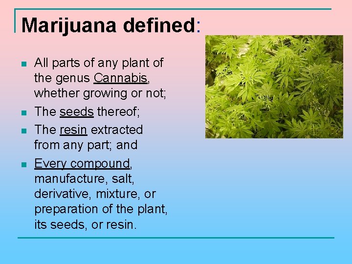 Marijuana defined: n n All parts of any plant of the genus Cannabis, whether