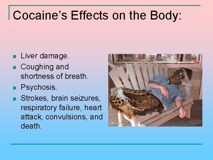 Cocaine’s Effects on the Body: n n Liver damage. Coughing and shortness of breath.