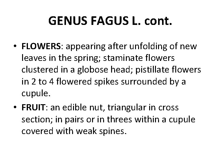 GENUS FAGUS L. cont. • FLOWERS: appearing after unfolding of new leaves in the