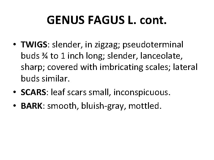 GENUS FAGUS L. cont. • TWIGS: slender, in zigzag; pseudoterminal buds ¾ to 1