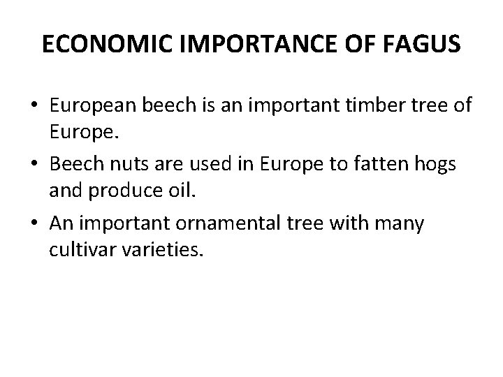 ECONOMIC IMPORTANCE OF FAGUS • European beech is an important timber tree of Europe.