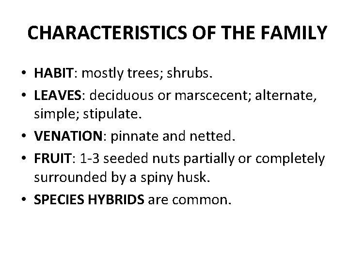 CHARACTERISTICS OF THE FAMILY • HABIT: mostly trees; shrubs. • LEAVES: deciduous or marscecent;