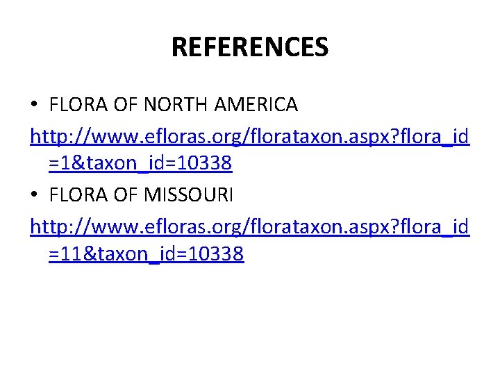 REFERENCES • FLORA OF NORTH AMERICA http: //www. efloras. org/florataxon. aspx? flora_id =1&taxon_id=10338 •