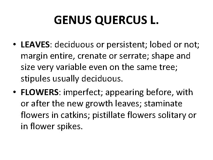 GENUS QUERCUS L. • LEAVES: deciduous or persistent; lobed or not; margin entire, crenate
