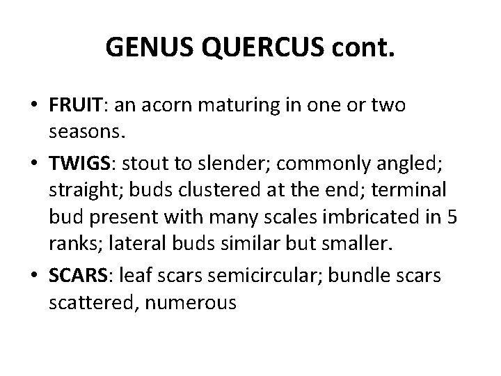 GENUS QUERCUS cont. • FRUIT: an acorn maturing in one or two seasons. •