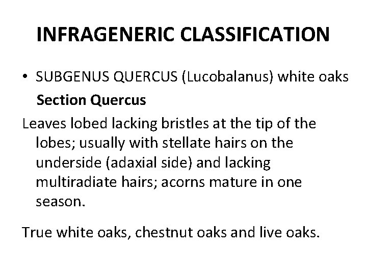 INFRAGENERIC CLASSIFICATION • SUBGENUS QUERCUS (Lucobalanus) white oaks Section Quercus Leaves lobed lacking bristles