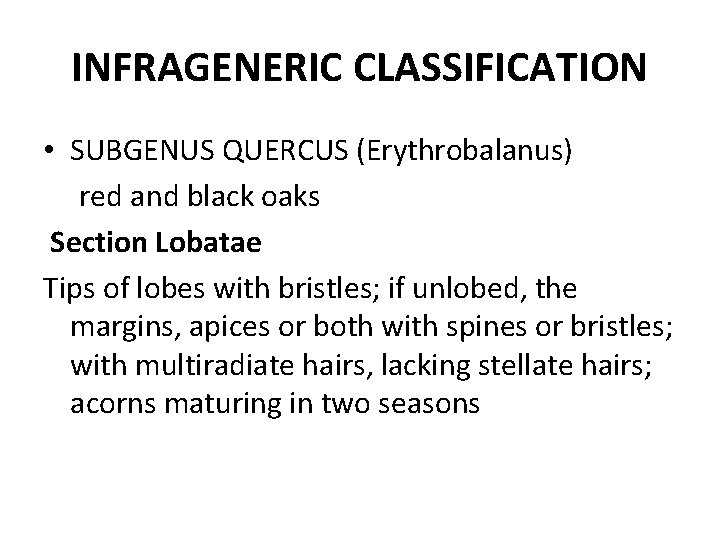 INFRAGENERIC CLASSIFICATION • SUBGENUS QUERCUS (Erythrobalanus) red and black oaks Section Lobatae Tips of