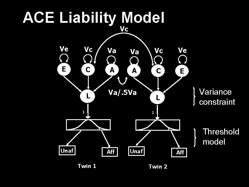 ACE Liability Model Vc Ve Vc Va Va Vc Ve E C A A