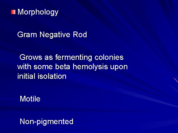 Morphology Gram Negative Rod Grows as fermenting colonies with some beta hemolysis upon initial