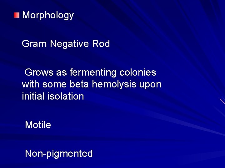 Morphology Gram Negative Rod Grows as fermenting colonies with some beta hemolysis upon initial Morphology Gram Negative Rod Grows as fermenting colonies with some beta hemolysis upon initial