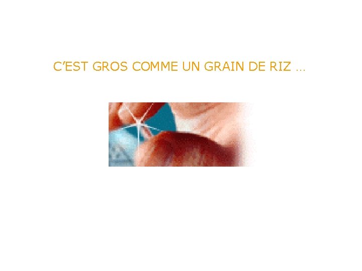 C’EST GROS COMME UN GRAIN DE RIZ … 