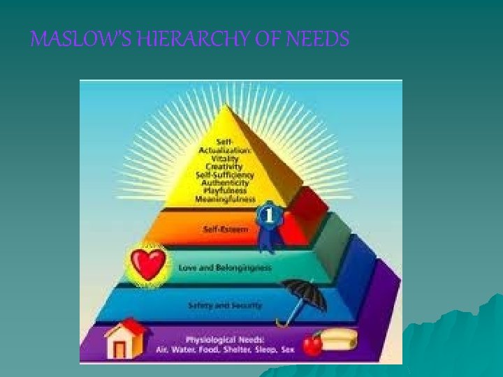 MASLOW’S HIERARCHY OF NEEDS 