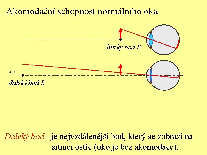Akomodační schopnost normálního oka blízký bod B daleký bod D Daleký bod - je