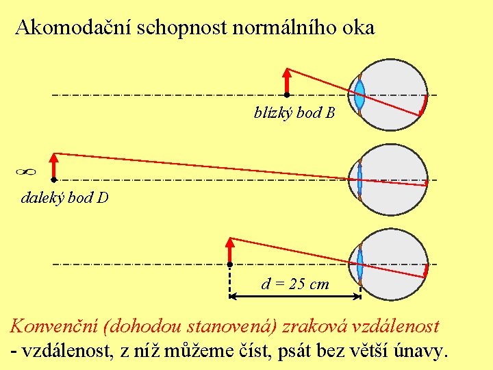 Akomodační schopnost normálního oka blízký bod B daleký bod D d = 25 cm