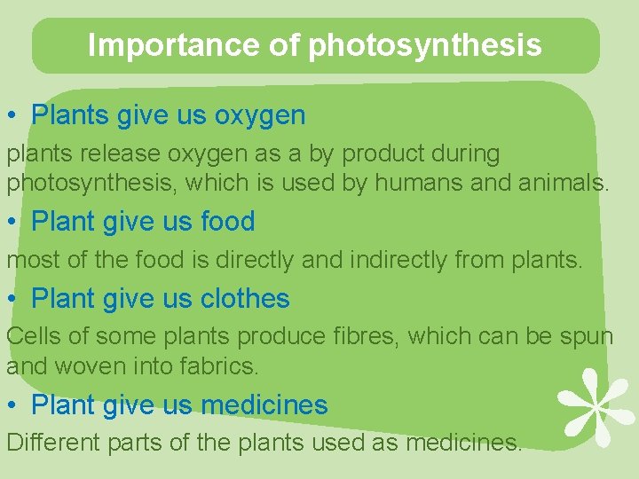Importance of photosynthesis • Plants give us oxygen plants release oxygen as a by