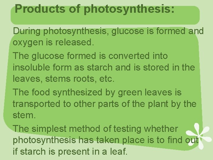 Products of photosynthesis: During photosynthesis, glucose is formed and oxygen is released. The glucose