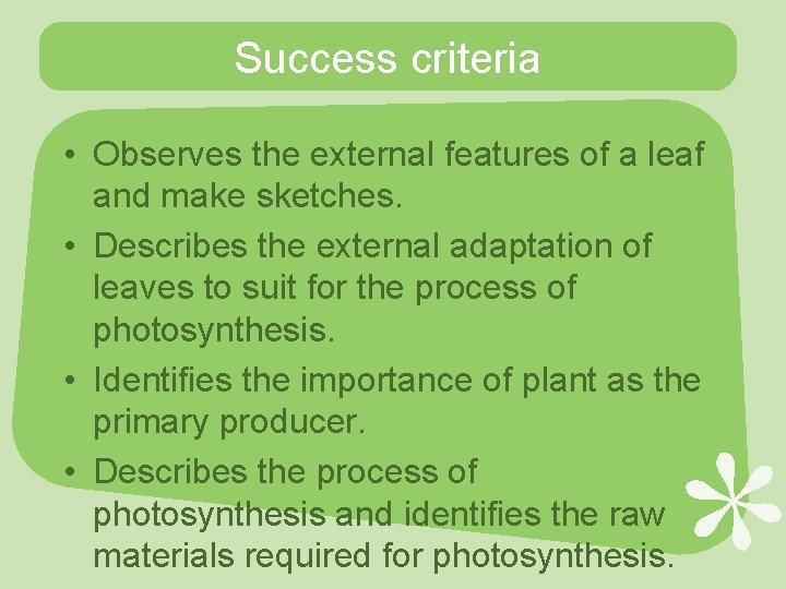 Success criteria • Observes the external features of a leaf and make sketches. •