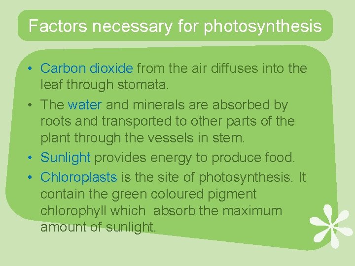 Factors necessary for photosynthesis • Carbon dioxide from the air diffuses into the leaf