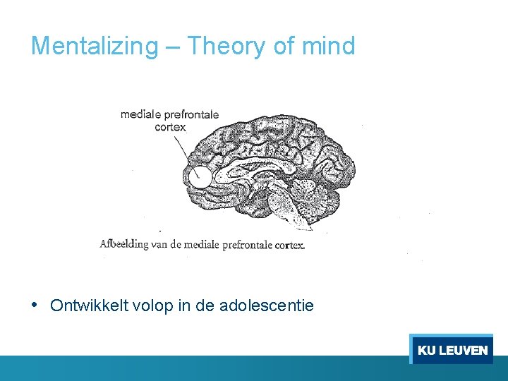 Mentalizing – Theory of mind • Ontwikkelt volop in de adolescentie 