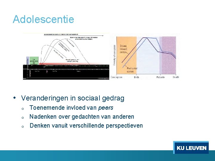 Adolescentie • Veranderingen in sociaal gedrag o o o Toenemende invloed van peers Nadenken