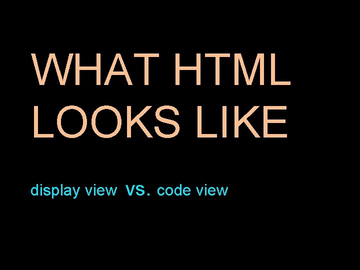 WHAT HTML LOOKS LIKE display view vs. code view 