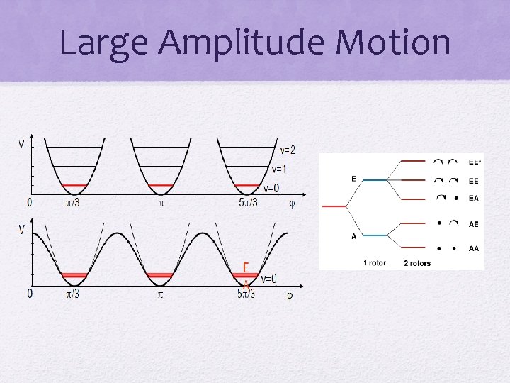 Large Amplitude Motion 