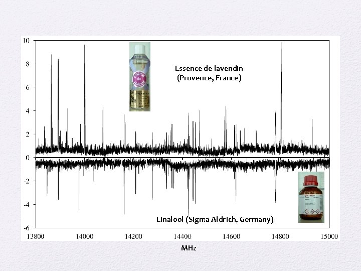 Essence de lavendin (Provence, France) Linalool (Sigma Aldrich, Germany) MHz 