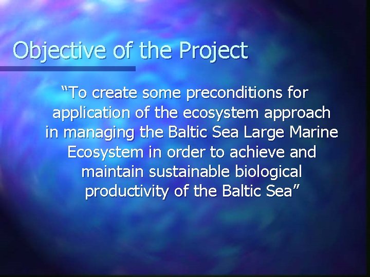Objective of the Project “To create some preconditions for application of the ecosystem approach