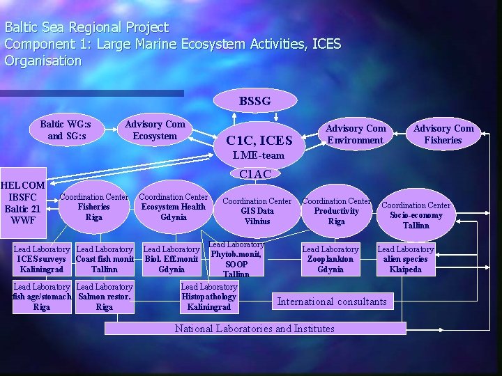 Baltic Sea Regional Project Component 1: Large Marine Ecosystem Activities, ICES Organisation BSSG Baltic