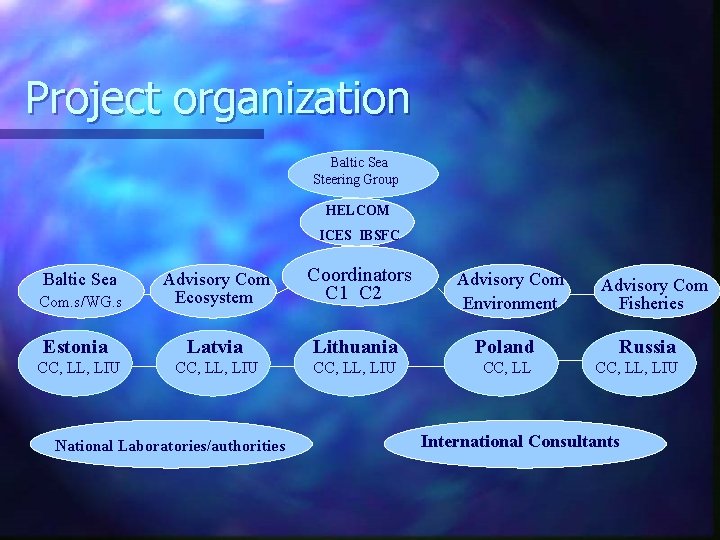 Project organization Baltic Sea Steering Group HELCOM ICES IBSFC Advisory Com Ecosystem Coordinators C