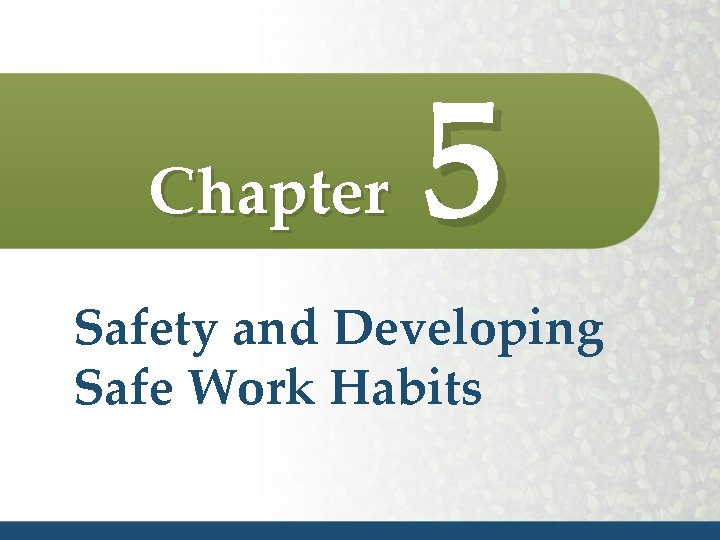 Chapter 5 Safety and Developing Safe Work Habits 