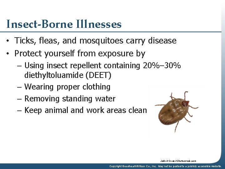 Insect-Borne Illnesses • Ticks, fleas, and mosquitoes carry disease • Protect yourself from exposure