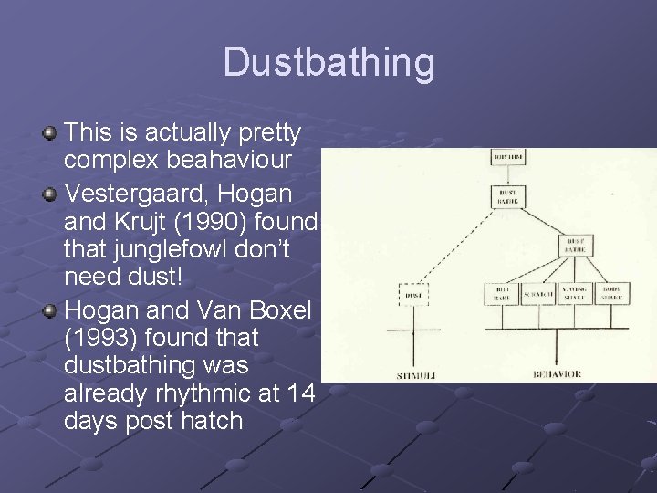 Dustbathing This is actually pretty complex beahaviour Vestergaard, Hogan and Krujt (1990) found that