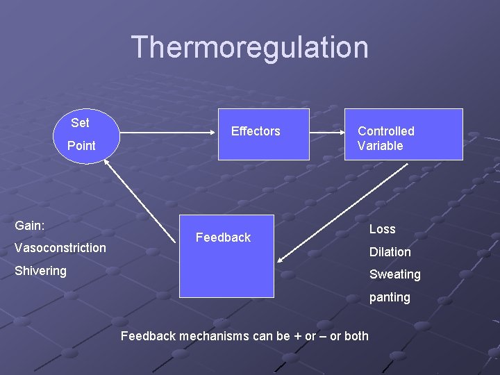 Thermoregulation Set Effectors Point Gain: Vasoconstriction Controlled Variable Feedback Loss Dilation Shivering Sweating panting