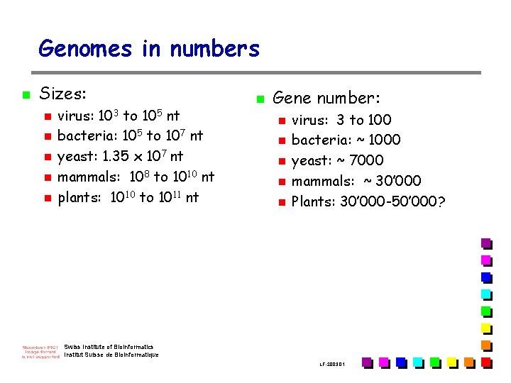 Genomes in numbers n Sizes: n n n virus: 103 to 105 nt bacteria: