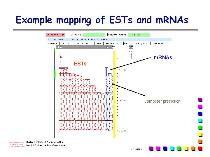 Example mapping of ESTs and m. RNAs ESTs Computer prediction Swiss Institute of Bioinformatics