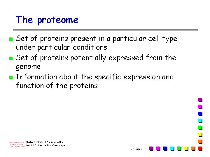 The proteome n n n Set of proteins present in a particular cell type