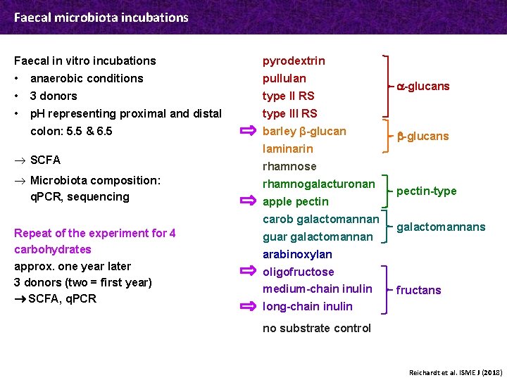 Faecal microbiota incubations Faecal in vitro incubations pyrodextrin • anaerobic conditions pullulan • 3