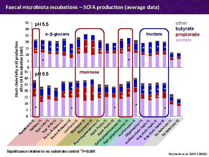 xt Pu rin f llu 1 Ty lan pe f II 1 T R