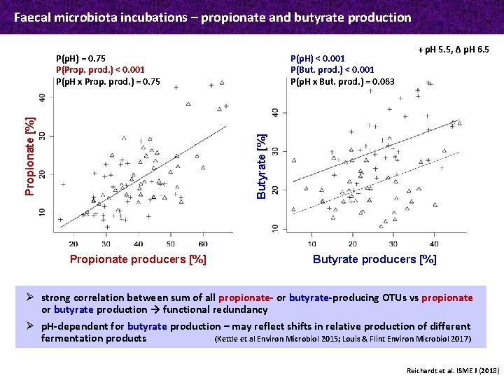 Faecal microbiota incubations – propionate and butyrate production P(p. H) < 0. 001 P(But.