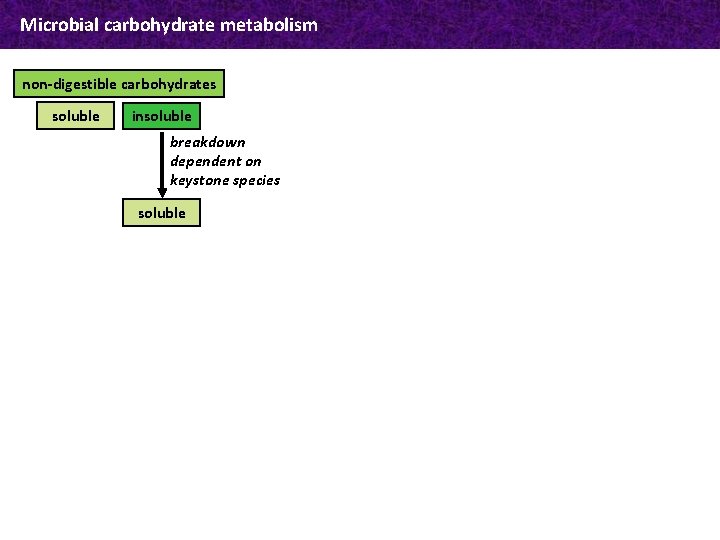 Microbial carbohydrate metabolism non-digestible carbohydrates soluble insoluble breakdown dependent on keystone species soluble 