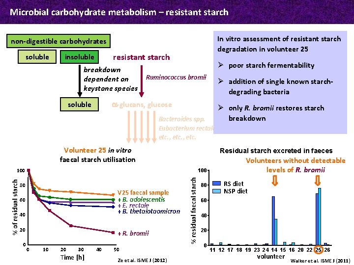 Microbial carbohydrate metabolism – resistant starch In vitro assessment of resistant starch degradation in