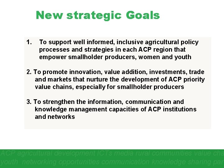 New strategic Goals 1. To support well informed, inclusive agricultural policy processes and strategies