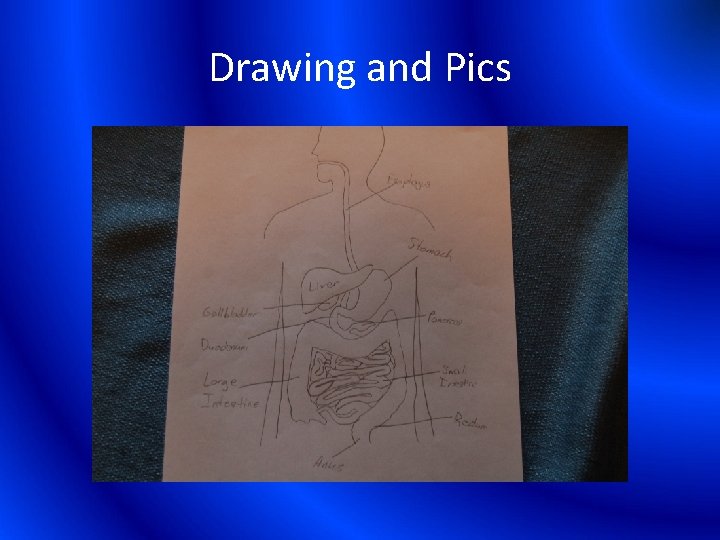 Drawing and Pics 
