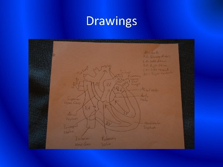 Drawings 